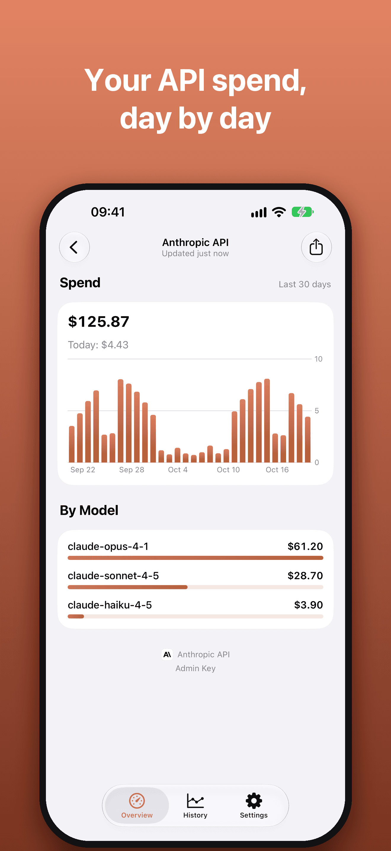 Your API spend, day by day